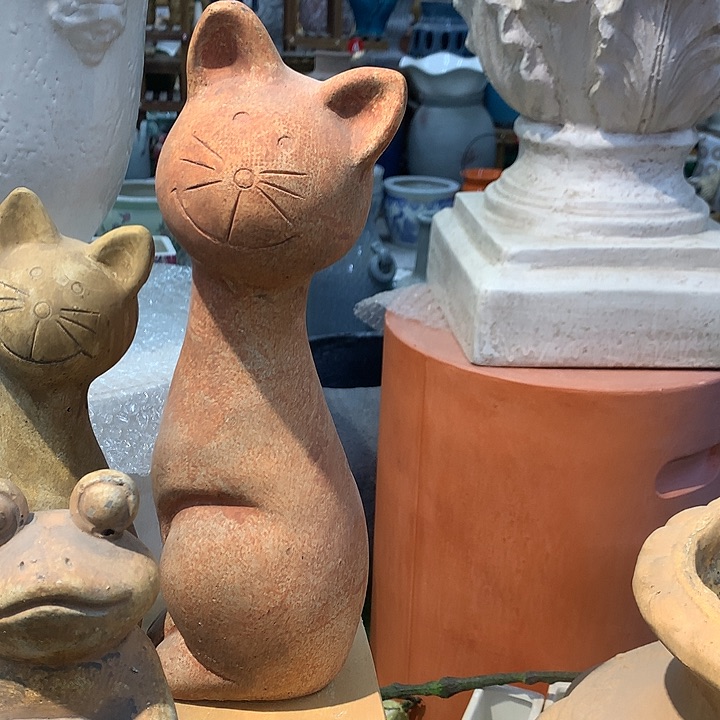 红陶高38，123456