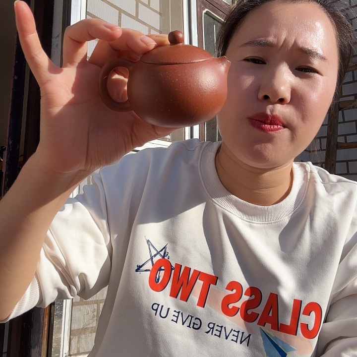 旺***哥茶壶紫砂原矿降坡西施150cc