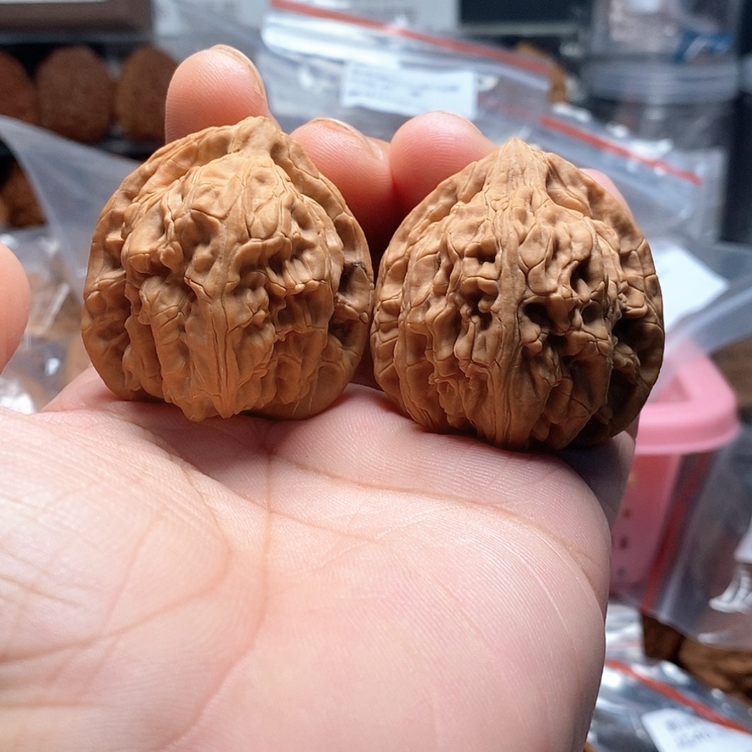 文玩核桃龙门柱40-253