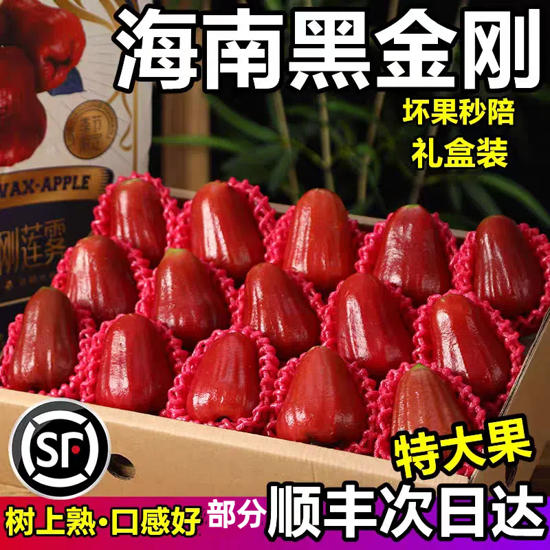 海南黑金刚莲雾莲雾当季三亚产新鲜水果顺丰包邮