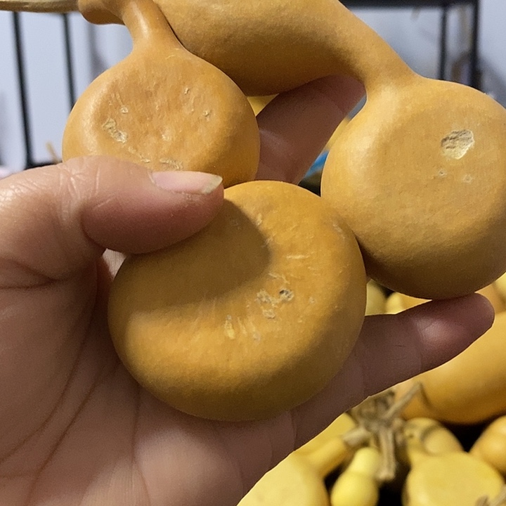 葫芦的颜色是蓝色的还是