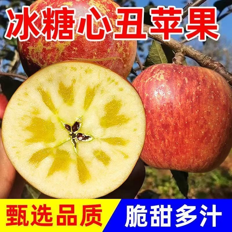 【海拔2600米】冰糖心丑苹果四川大凉山盐源新鲜脆甜多汁当季水果