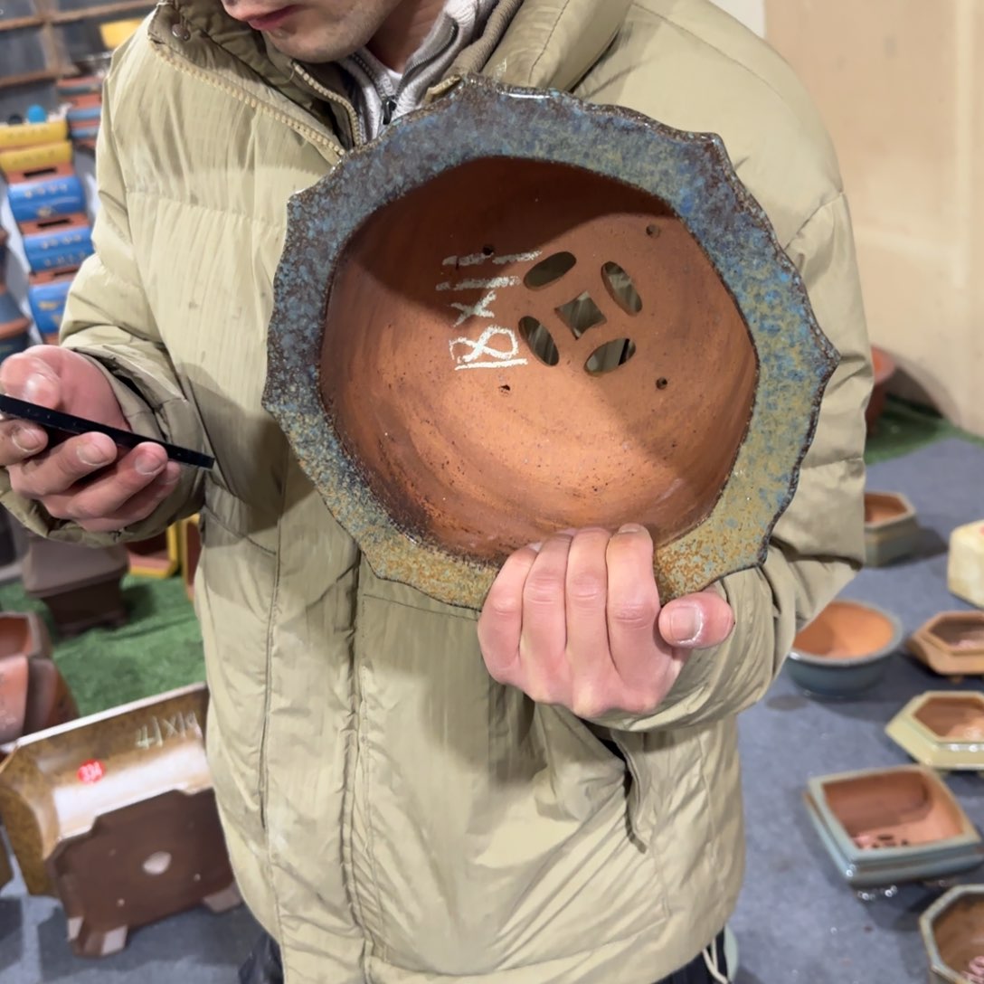 紫砂花盆呜呜呜呜