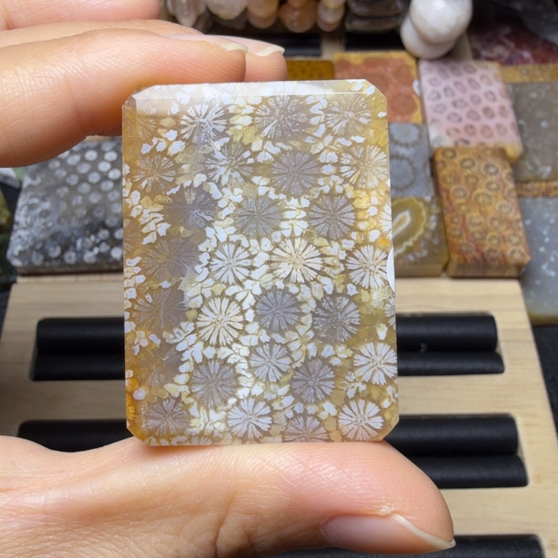 硅化玉未镶嵌清晰 玉透 立体花