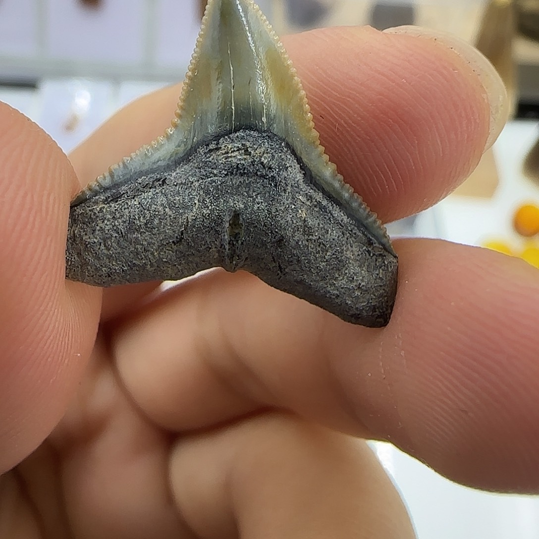 琉璃/树脂/塑料类