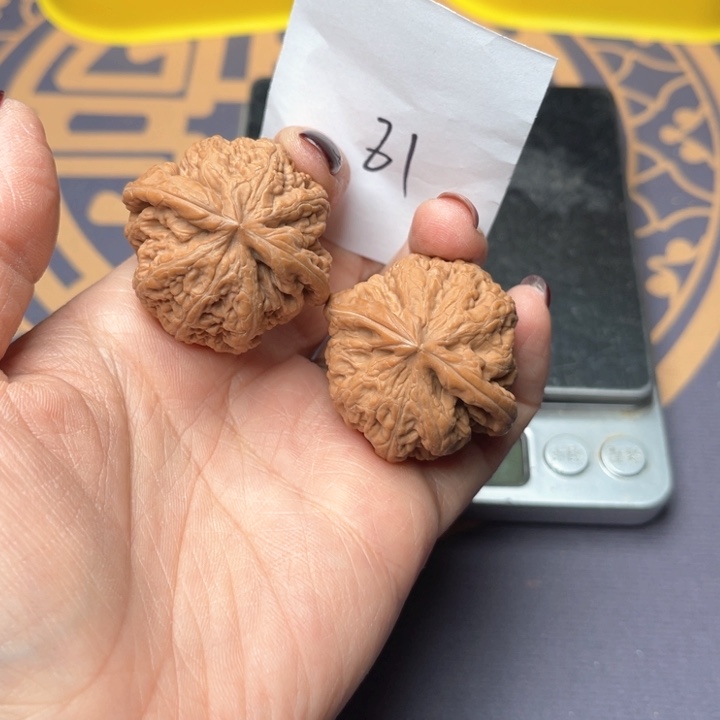 文玩核桃把件36大粗筋