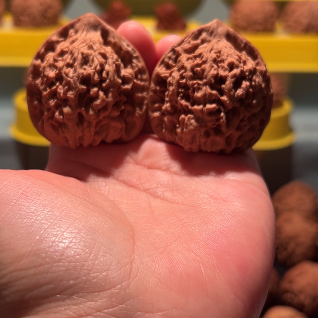 把件文玩核桃大官帽文玩核桃把件