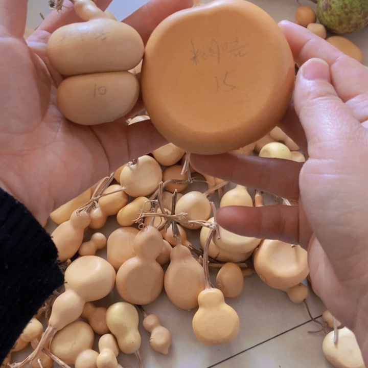 糊***噜糊噜噜噜恭喜发财
