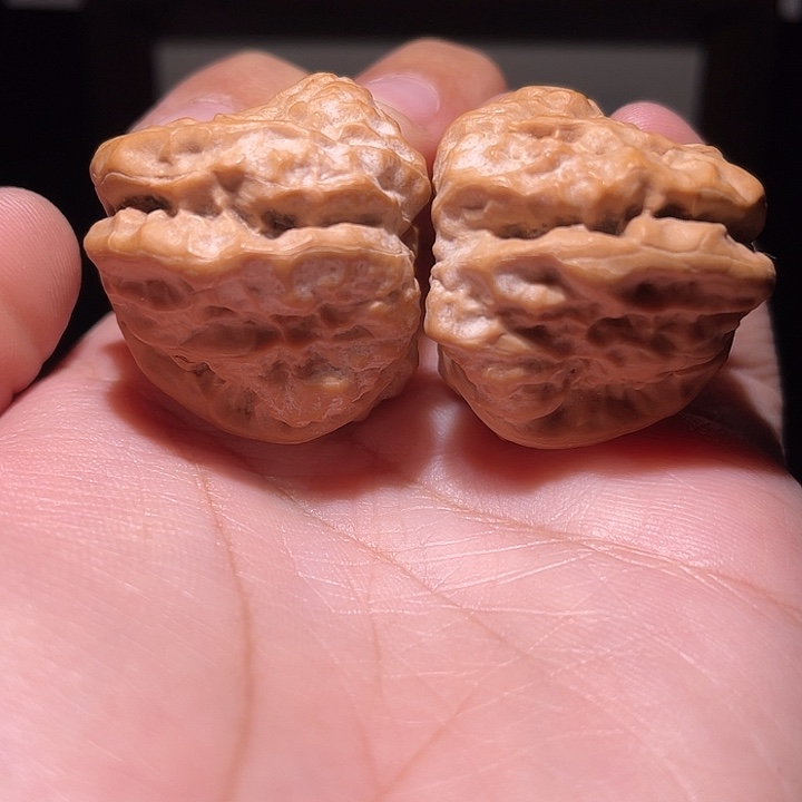 核桃手串/手链36.5×41  