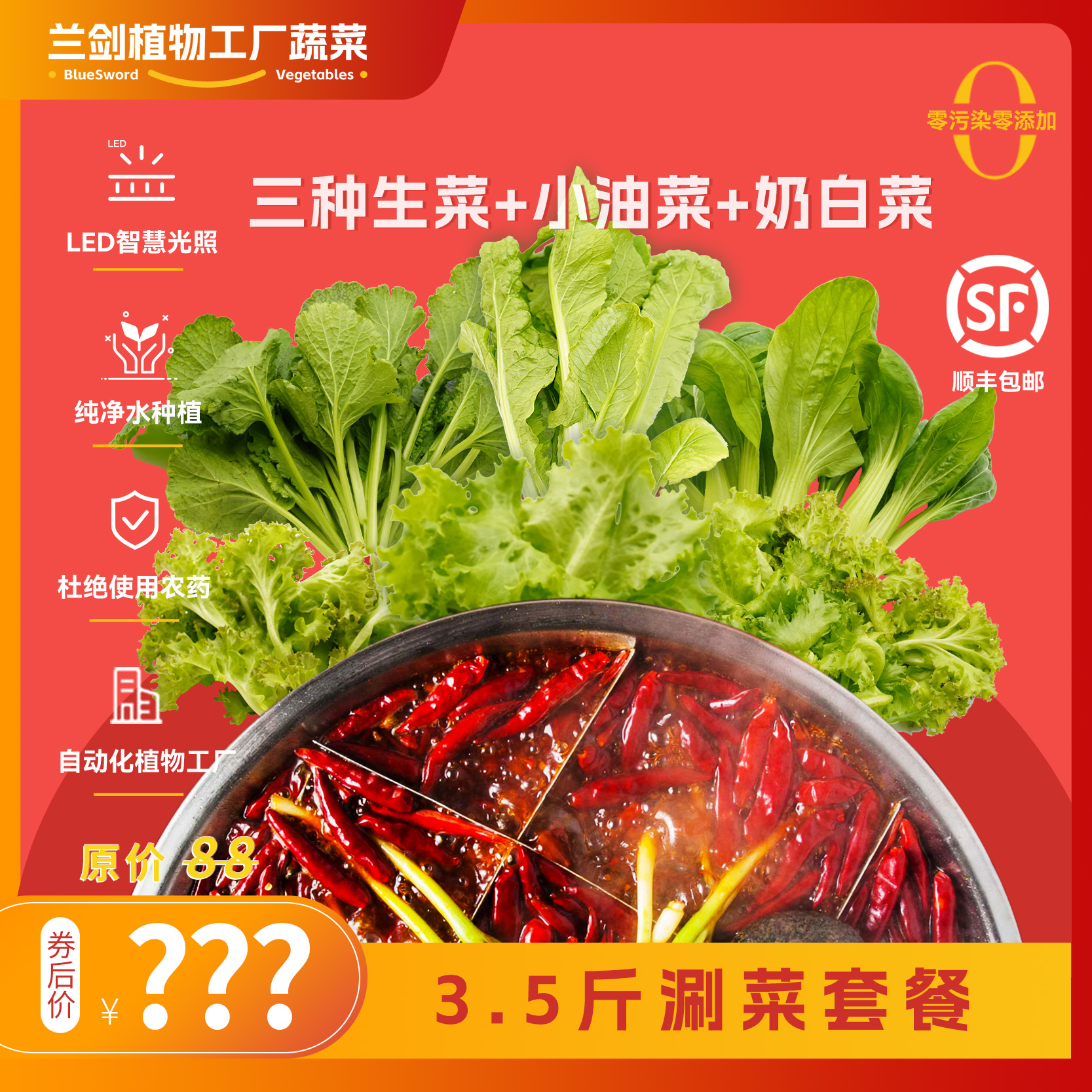 【冬日暖阳健康涮菜】3.5斤装奶白菜油菜生菜纯净水种植健康