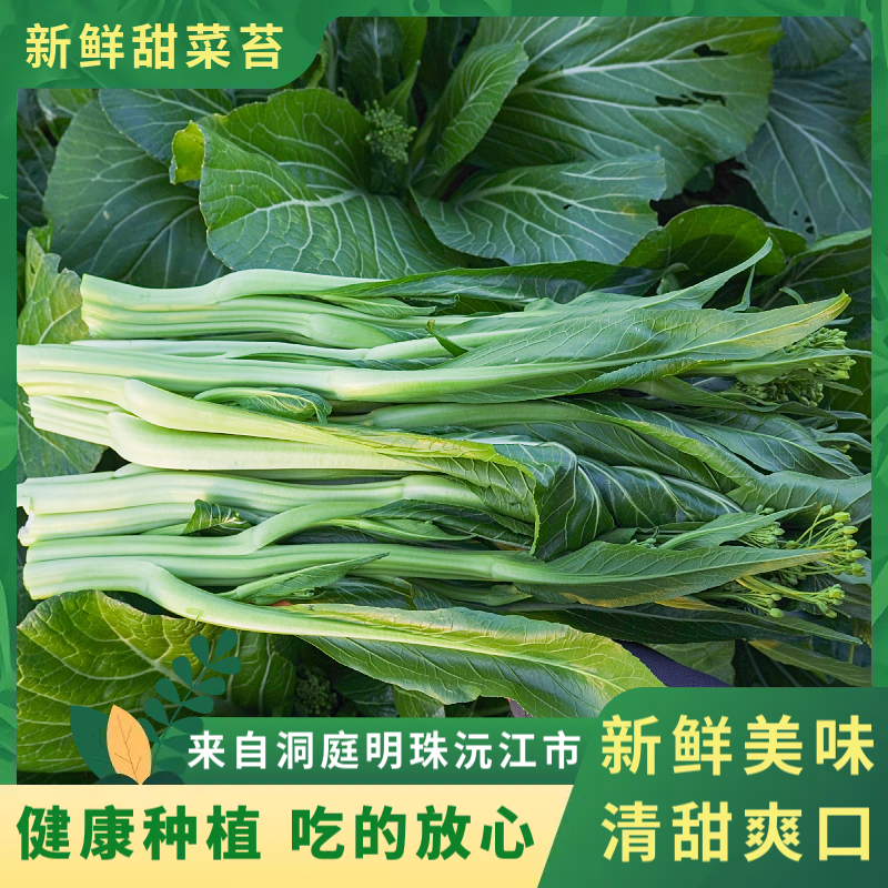 湖南新鲜菜心青菜苔新鲜白菜苔油菜苔清甜脆嫩农家自种新鲜火锅菜