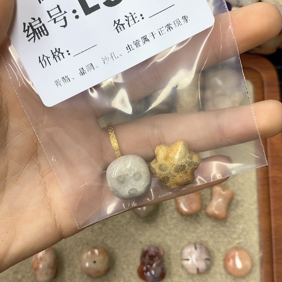 硅化珊瑚（珊瑚玉）n未镶嵌?