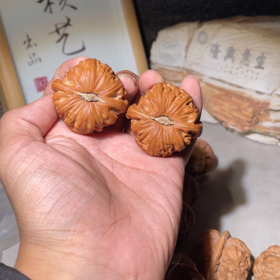 S****核桃手串/手链白狮子43尺寸