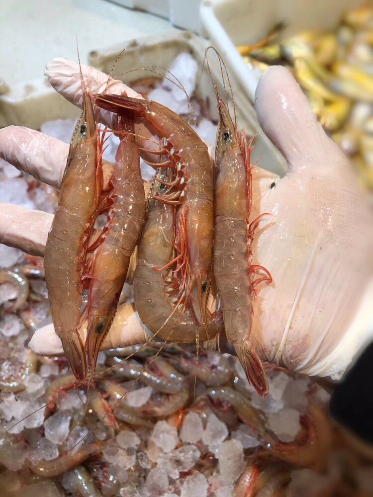 东海野生滑皮虾鹰爪虾海捕船冻虾顺丰包邮