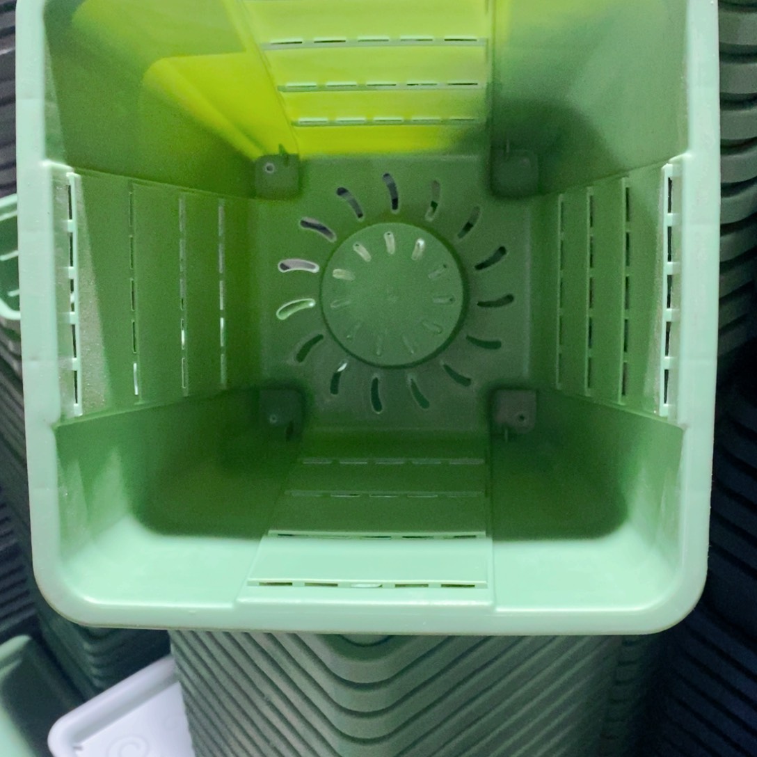 方2号10个无拖果绿