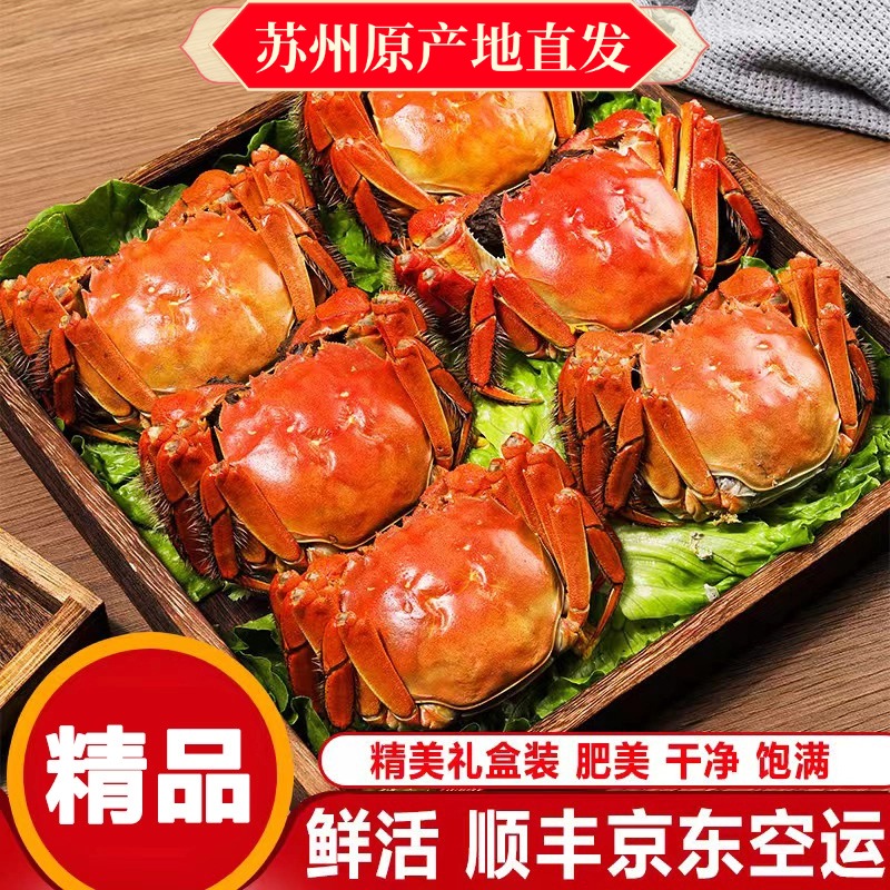 【活蟹】江苏精品河蟹全母10只(3.1-2.8两/只) 顺丰京东包邮6