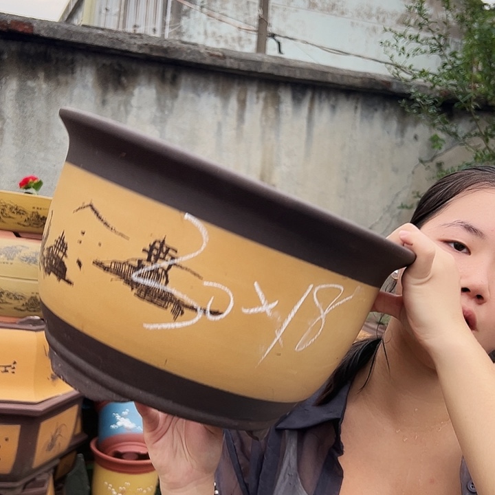 003花盆花盆花盆花盆