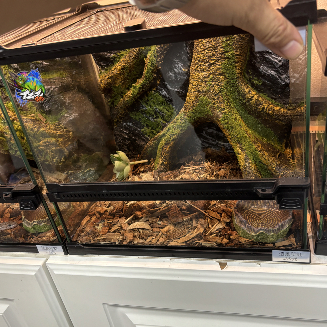 爬虫造景玻璃饲养缸30x30前开门