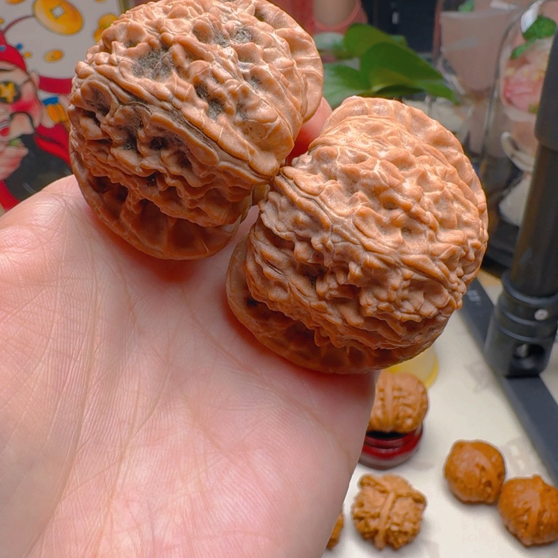 核桃把件47.5尺寸白狮子