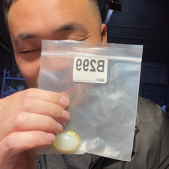 大叶紫檀（黑酸枝木类）299