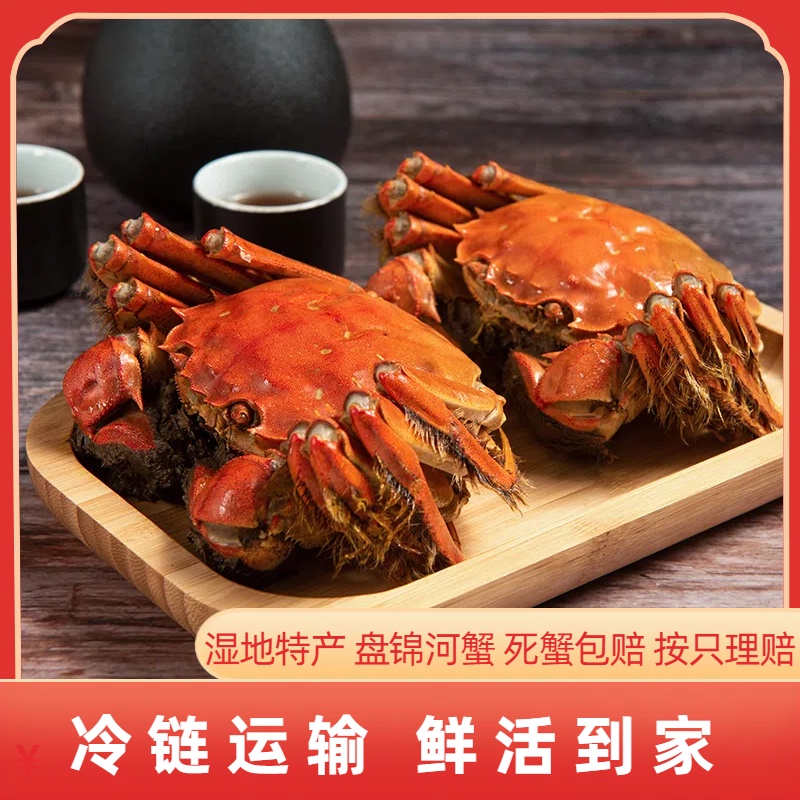 【活蟹】盘锦河蟹（1.5-1.3 两） 母蟹 2斤 新鲜到家（15-13只）