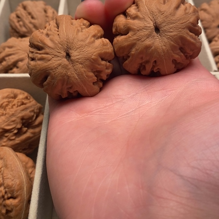 苦***️霸王龙全品无修一刀一刀没动