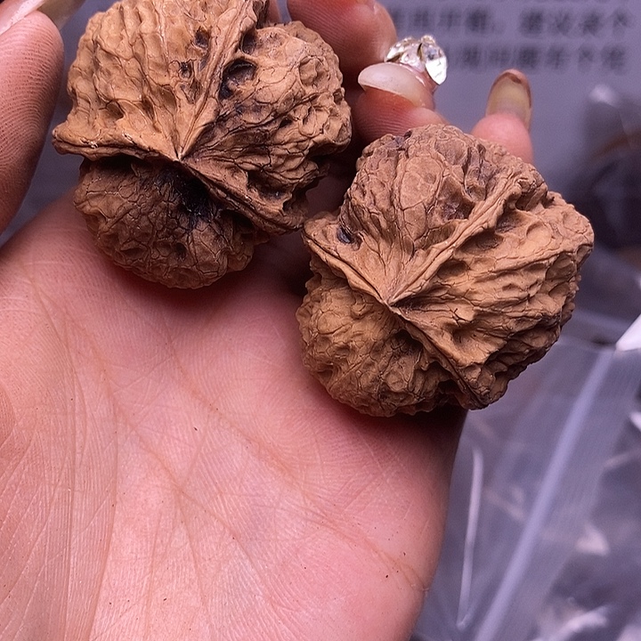 核桃云南野生铁核桃71号40mm