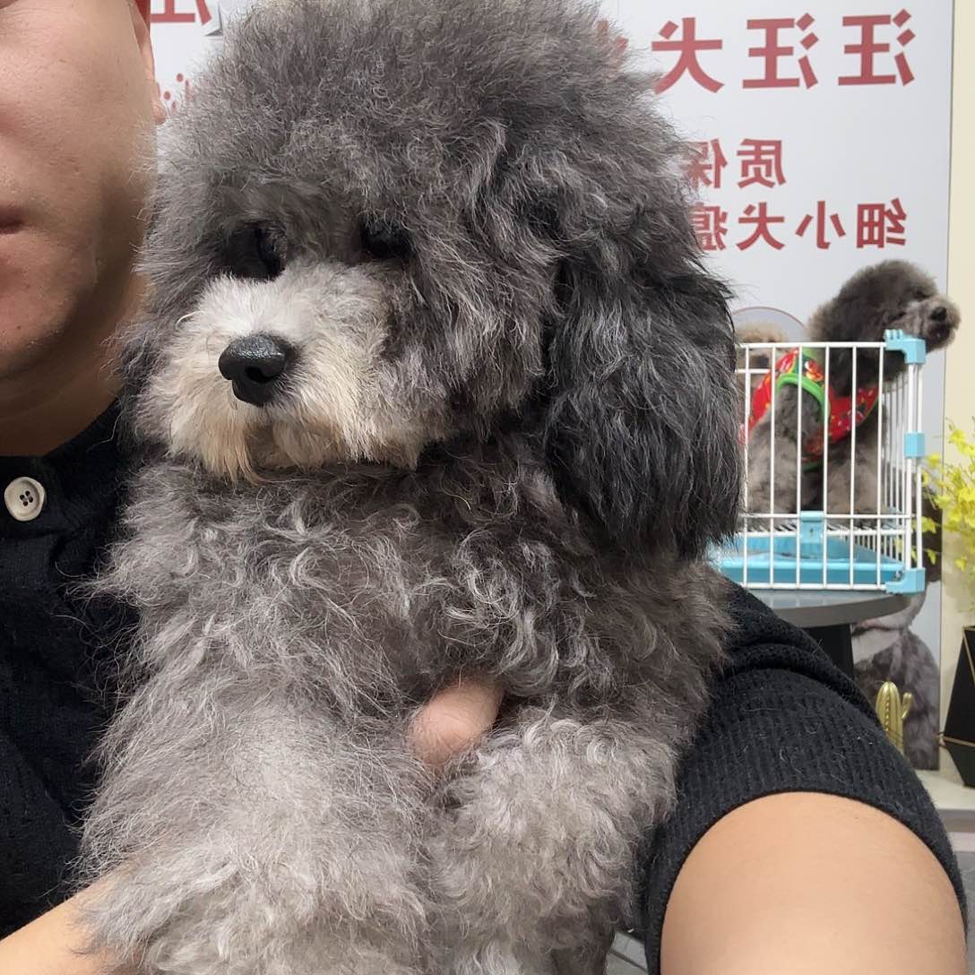 健健康康快快乐乐