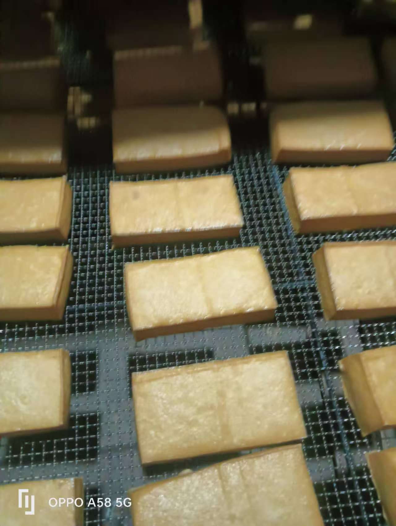 会同县农产品特产蔬菜