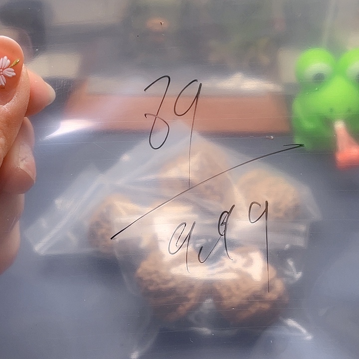 文玩核桃吊坠名**长文玩89