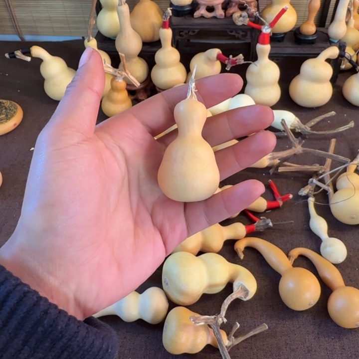  小尺寸粗翻嘴八宝