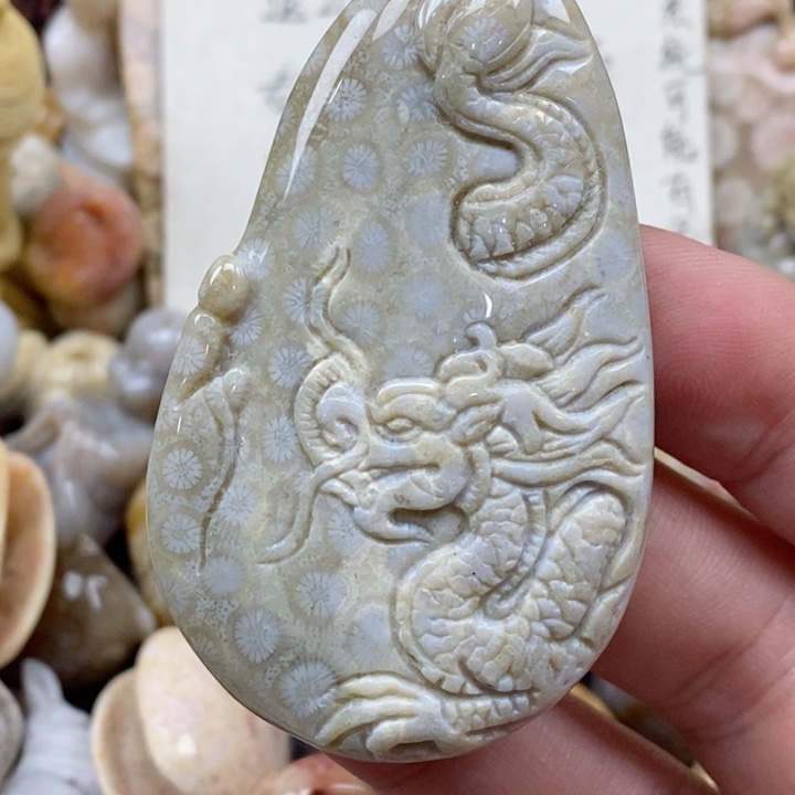 颈饰未镶嵌硅化珊瑚（珊瑚玉）