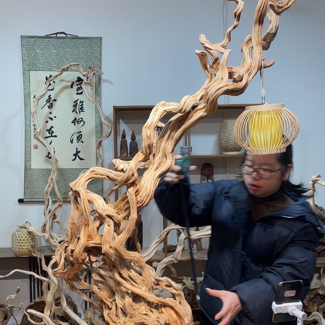 柏木杜鹃根根艺摆件