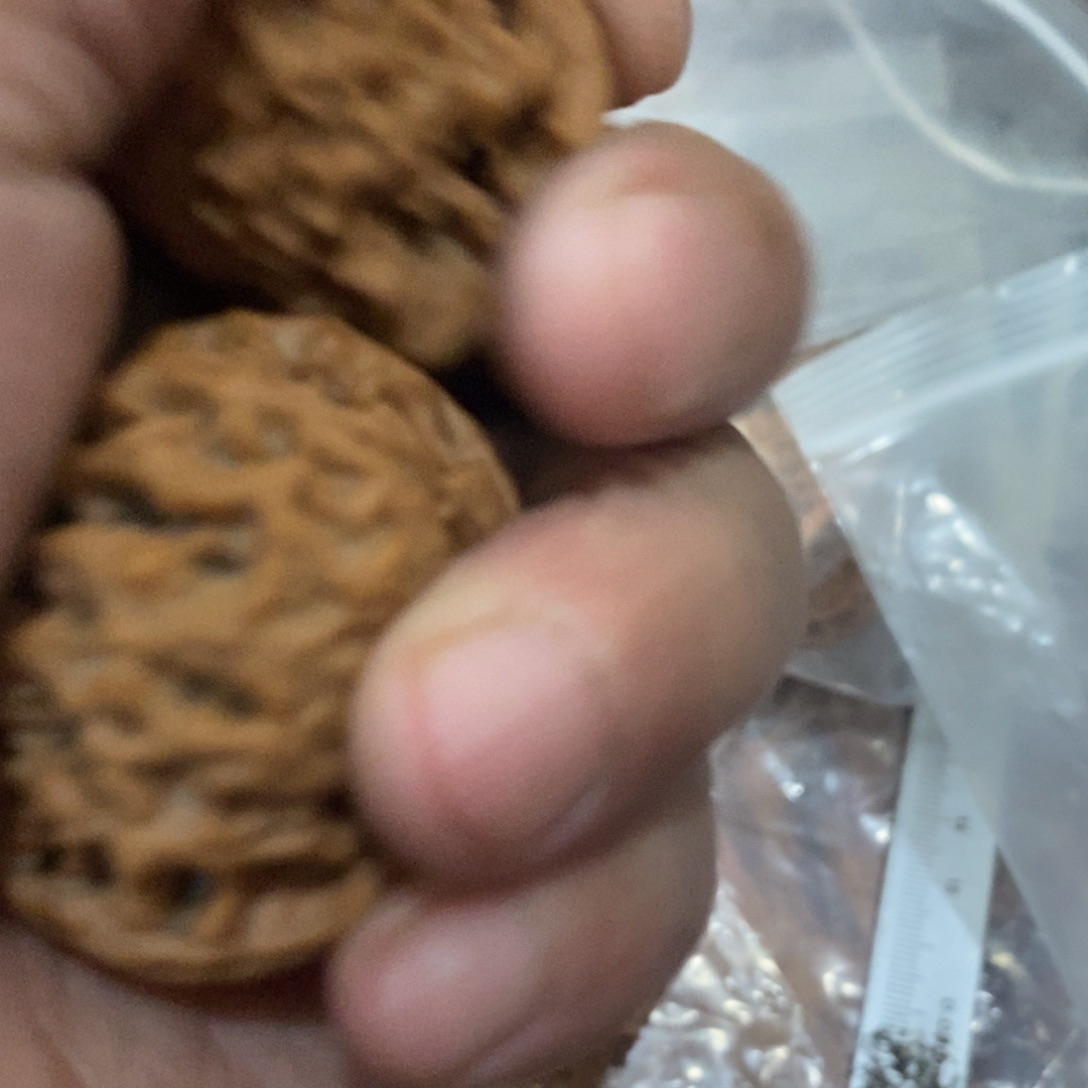 秦岭南侧与黄河北岸之间