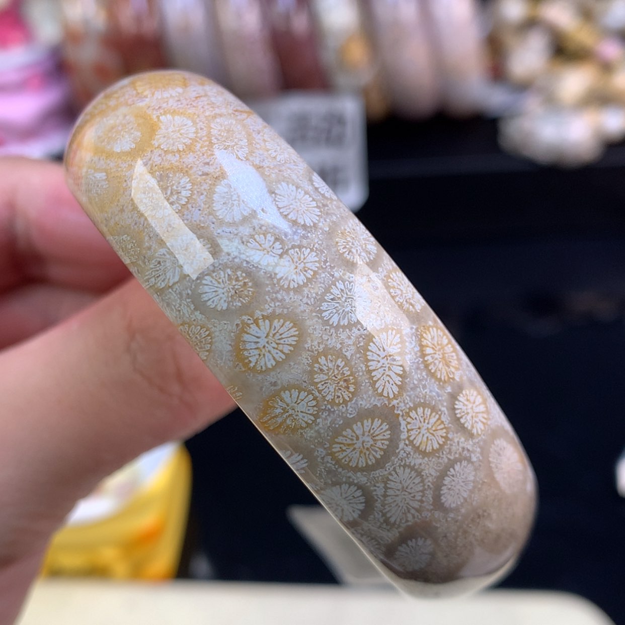 【闪购商品】颈饰未镶嵌硅化珊瑚（珊瑚玉）36号皮花花57.9圈