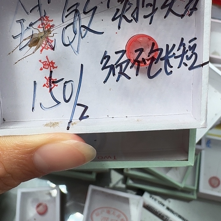 钱***敏蟋蟀蝈蝈我在11111