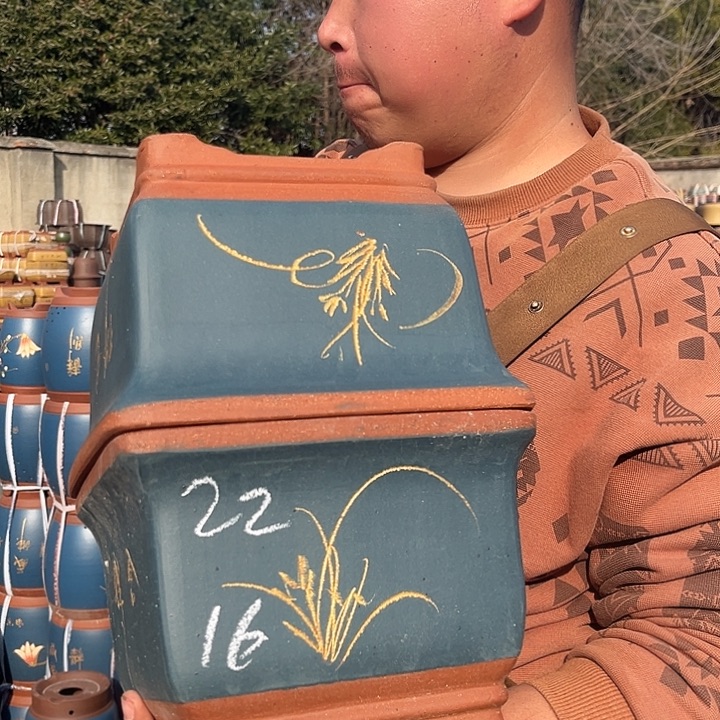 紫砂紫砂花盆盆栽