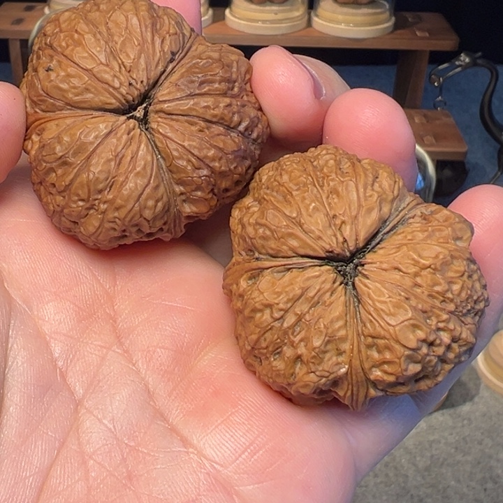 文玩核桃把件秦权44mm