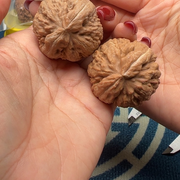 吊坠桃核文玩霸王龙