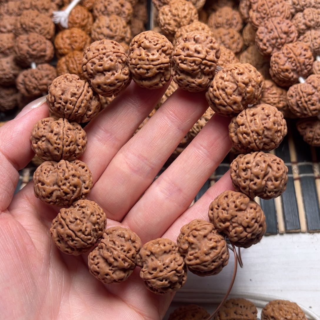 菩提47号金刚菩提满肉梅花22