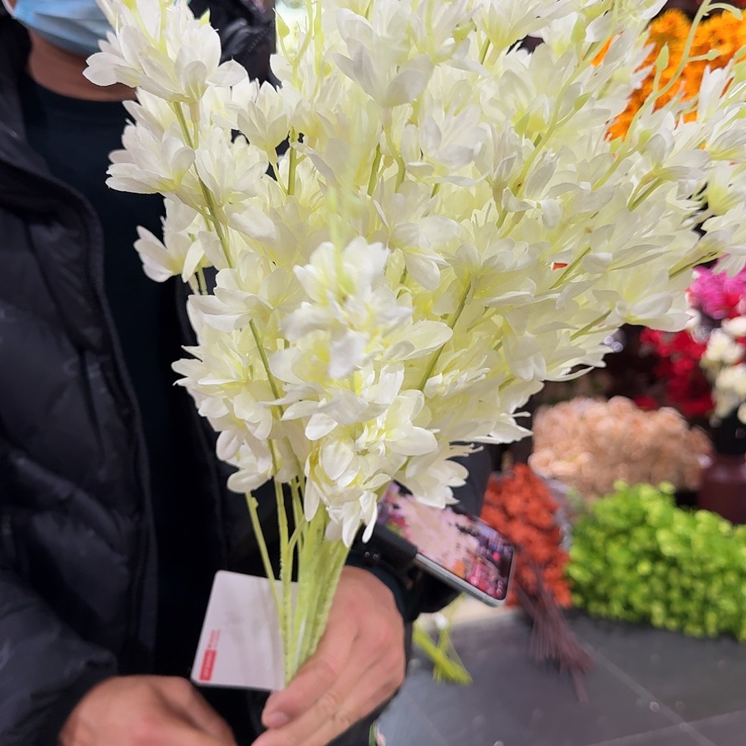 米白色三叉迎春花25支装