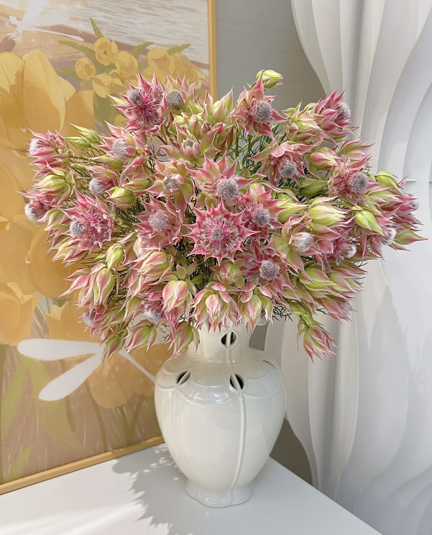 【新娘花1扎】2单升级顺丰冷链/德邦空运