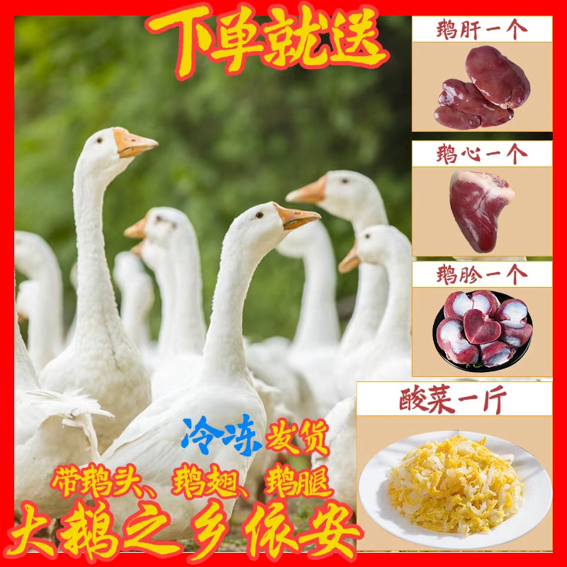 【东北兄弟专属】黑龙江依安县大鹅之乡东北散养大鹅产地直发