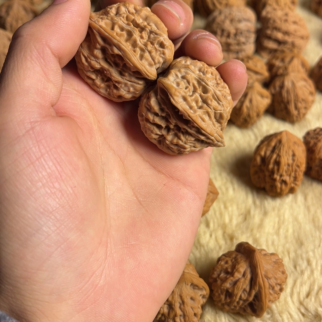 芬***全品34邢台铁三角