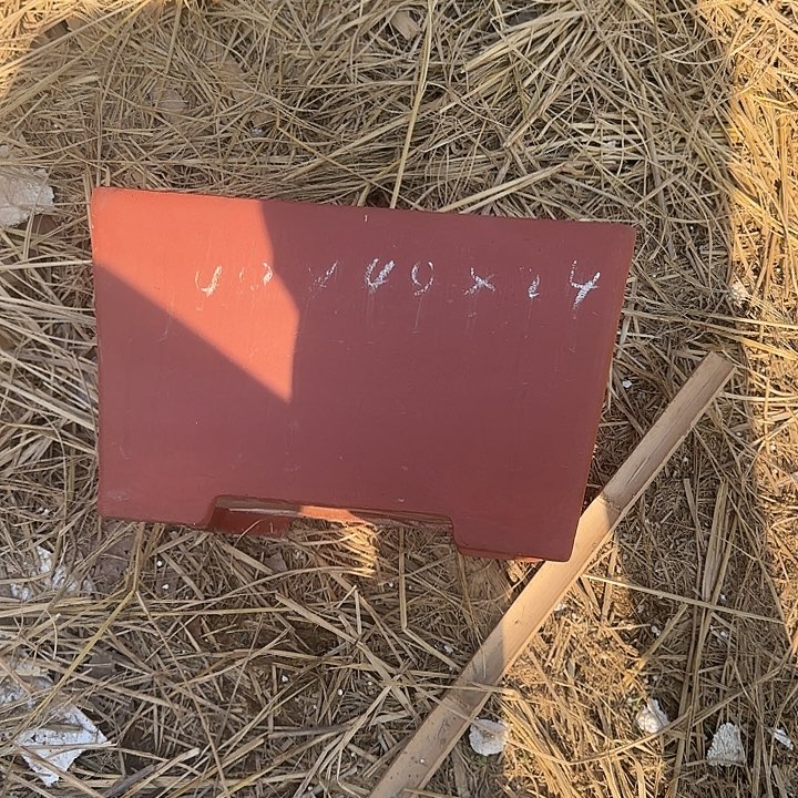 紫砂花盆40.40高24