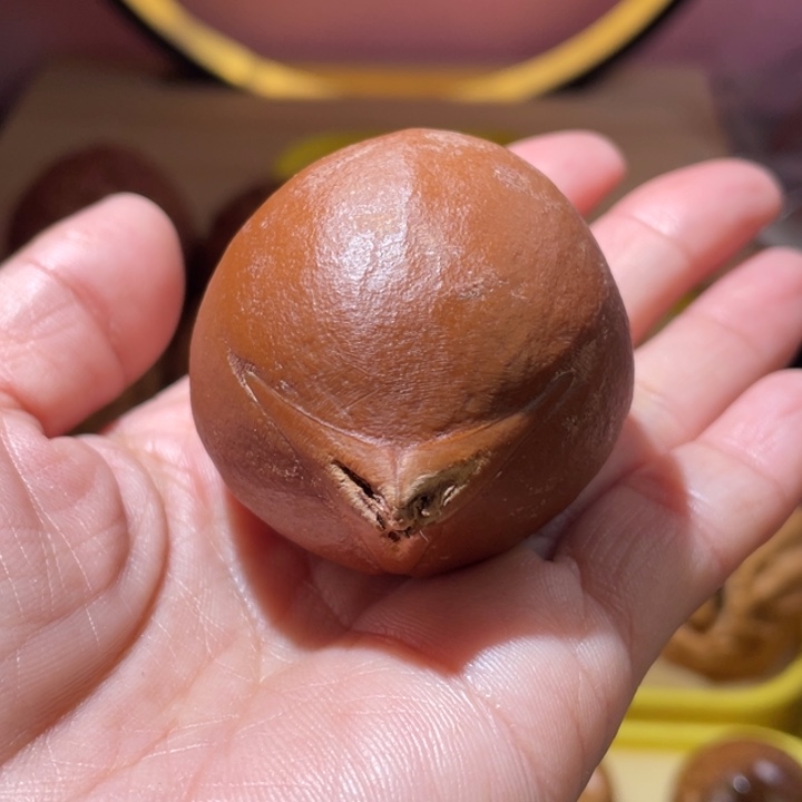 桃核把件橄榄核单只