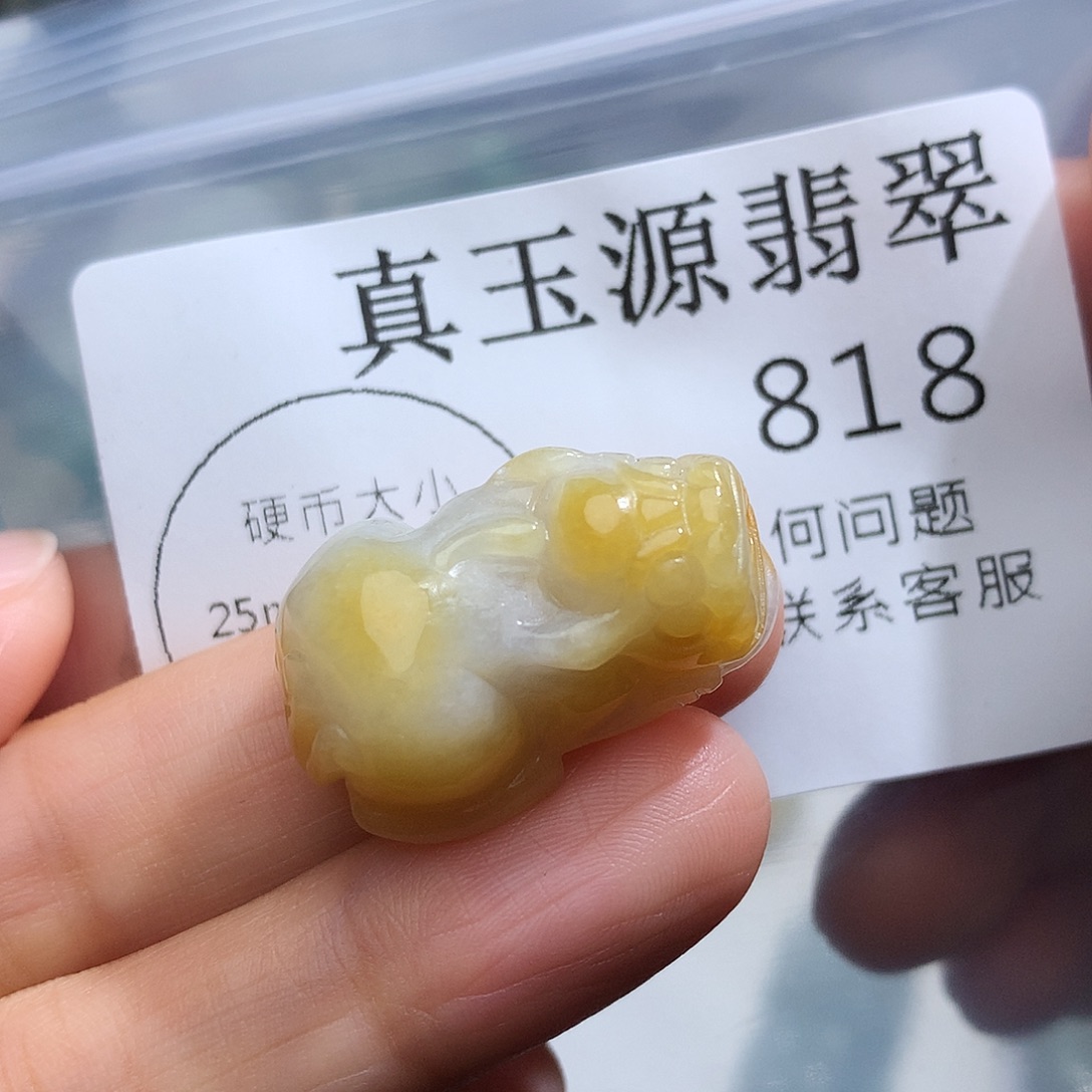 翡翠未镶嵌颈饰818