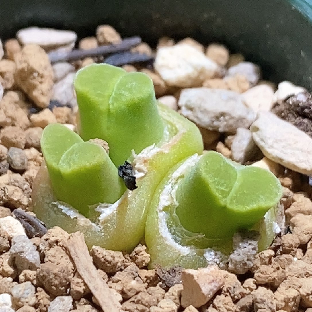 好看好看好看好看