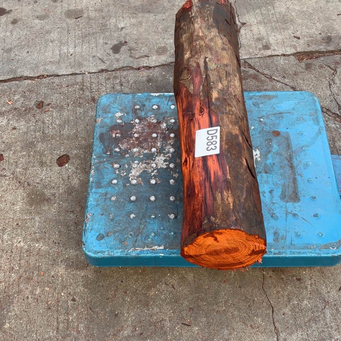 小***阳一物一拍血檀编码583