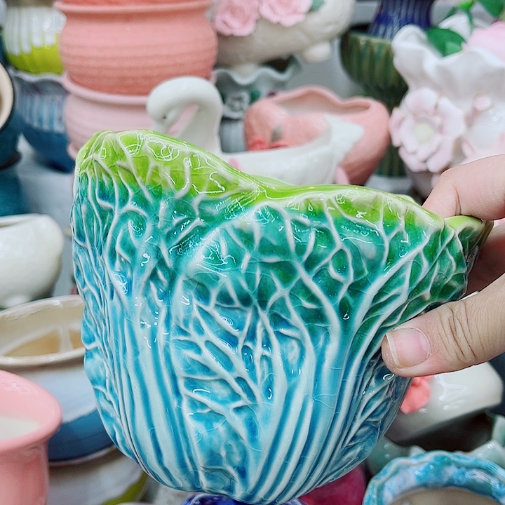 多肉植物陶瓷花盆